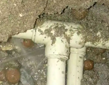 港闸测漏水多少钱