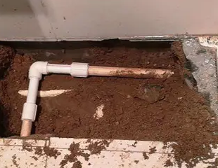 港闸测漏水哪家好