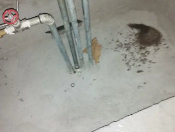 港闸卫生间测漏水价格明细