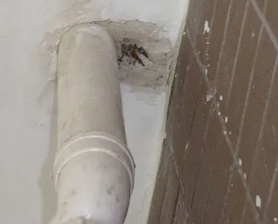 港闸漏水检测哪家好